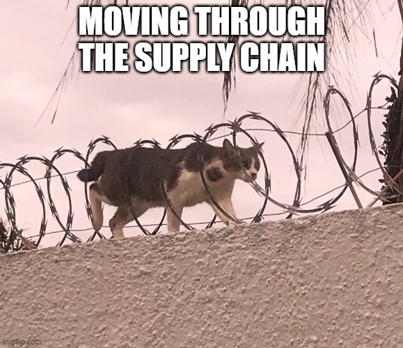 Cat Barbed Wire | MOVING THROUGH THE SUPPLY CHAIN | image tagged in cat barbed wire | made w/ Imgflip meme maker