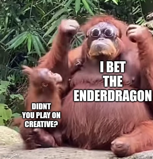 Swaggy Monkey First Meme |  I BET THE ENDERDRAGON; DIDNT YOU PLAY ON CREATIVE? | image tagged in swaggy monkey,monkey,minecraft,swag,sunglasses,new | made w/ Imgflip meme maker