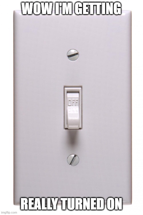 light switch off | WOW I'M GETTING REALLY TURNED ON | image tagged in light switch off | made w/ Imgflip meme maker