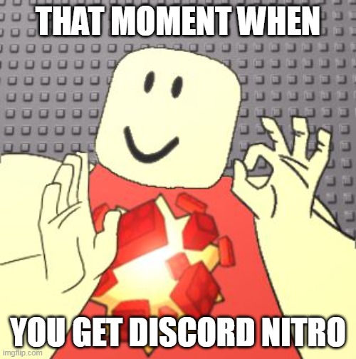 bisbord | THAT MOMENT WHEN; YOU GET DISCORD NITRO | image tagged in just right robloxian | made w/ Imgflip meme maker