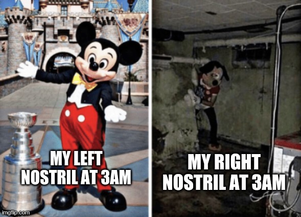 Basement Mickey Mouse | MY RIGHT NOSTRIL AT 3AM; MY LEFT NOSTRIL AT 3AM | image tagged in basement mickey mouse | made w/ Imgflip meme maker