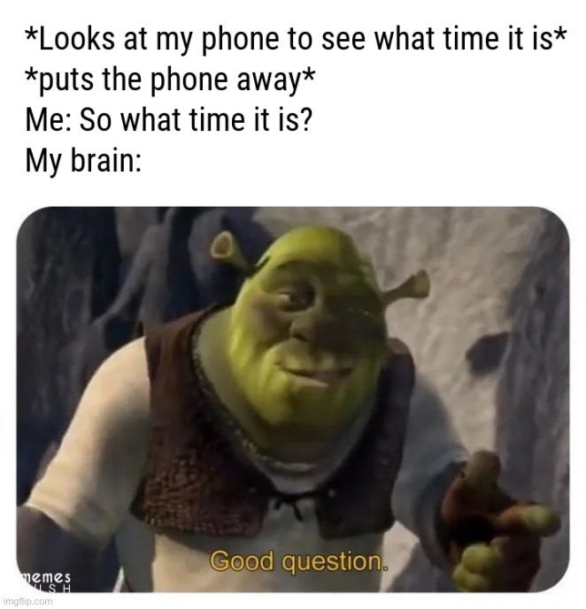 And yet….I still cannot remember the time | image tagged in memes,funny,phone,time,shrek good question,good question | made w/ Imgflip meme maker