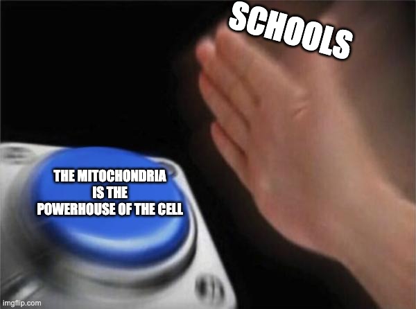 the mitochondria | SCHOOLS; THE MITOCHONDRIA IS THE POWERHOUSE OF THE CELL | image tagged in memes,blank nut button | made w/ Imgflip meme maker