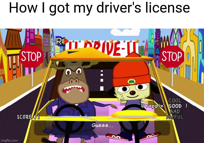 Step on the gas | How I got my driver's license | image tagged in funny,memes | made w/ Imgflip meme maker