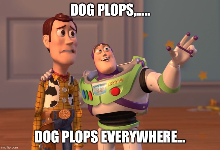 X, X Everywhere | DOG PLOPS,….. DOG PLOPS EVERYWHERE… | image tagged in memes,x x everywhere | made w/ Imgflip meme maker