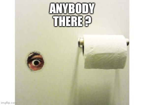 Bathroom Peeping Tom | ANYBODY
THERE ? | image tagged in bathroom peeping tom | made w/ Imgflip meme maker