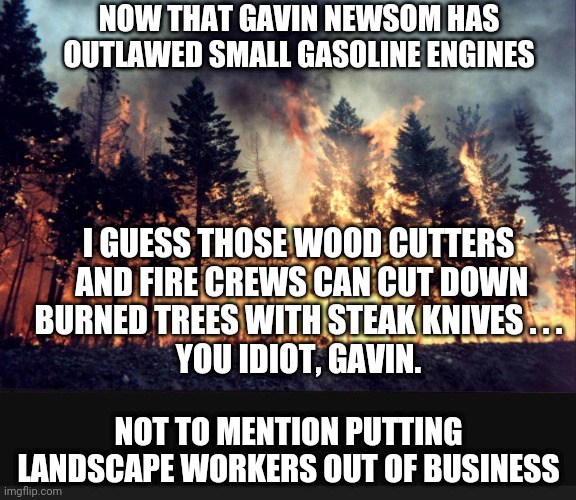 Gavin the Idiot | NOW THAT GAVIN NEWSOM HAS OUTLAWED SMALL GASOLINE ENGINES; I GUESS THOSE WOOD CUTTERS
 AND FIRE CREWS CAN CUT DOWN
 BURNED TREES WITH STEAK KNIVES . . . 
YOU IDIOT, GAVIN. NOT TO MENTION PUTTING LANDSCAPE WORKERS OUT OF BUSINESS | image tagged in liberals,democrats,lawnmower,economy,gavin,newsom | made w/ Imgflip meme maker