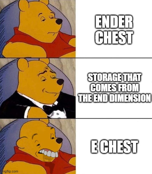 Minecraft Ender Chest | ENDER CHEST; STORAGE THAT COMES FROM THE END DIMENSION; E CHEST | image tagged in best better blurst | made w/ Imgflip meme maker