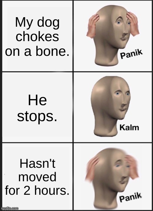 Panic!!! | My dog chokes on a bone. He stops. Hasn't moved for 2 hours. | image tagged in memes,panik kalm panik | made w/ Imgflip meme maker