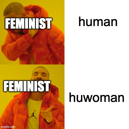 Drake Hotline Bling Meme | human; FEMINIST; huwoman; FEMINIST | image tagged in memes,drake hotline bling | made w/ Imgflip meme maker