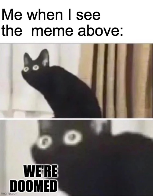 I made this for a comment and decided: why not? | Me when I see the  meme above:; WE'RE DOOMED | image tagged in oh no black cat,hahaha,bored,never gonna give you up,oh wow are you actually reading these tags | made w/ Imgflip meme maker