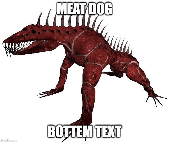 Meat dog | MEAT DOG; BOTTEM TEXT | image tagged in yes,meat dog | made w/ Imgflip meme maker