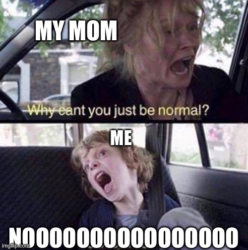 Why Can't You Just Be Normal | MY MOM; ME; NOOOOOOOOOOOOOOOO | image tagged in why can't you just be normal | made w/ Imgflip meme maker