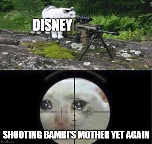 Sniper cat | DISNEY SHOOTING BAMBI'S MOTHER YET AGAIN | image tagged in sniper cat | made w/ Imgflip meme maker