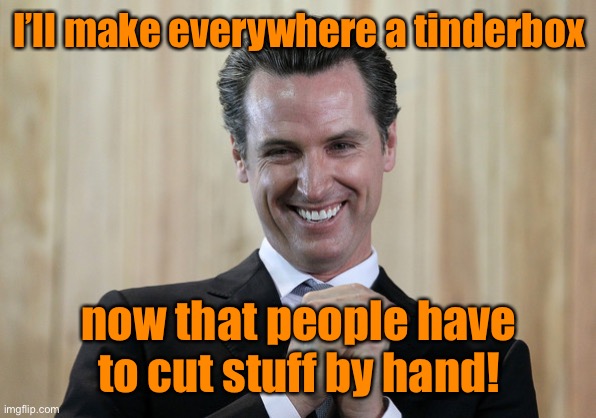 Scheming Gavin Newsom  | I’ll make everywhere a tinderbox now that people have to cut stuff by hand! | image tagged in scheming gavin newsom | made w/ Imgflip meme maker