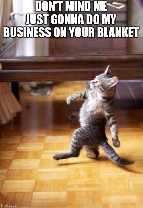 Cool Cat Stroll | DON’T MIND ME JUST GONNA DO MY BUSINESS ON YOUR BLANKET | image tagged in memes,cool cat stroll | made w/ Imgflip meme maker