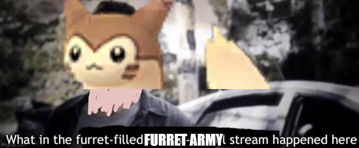 High Quality What in the Furret filled Furret army stream happened here? Blank Meme Template