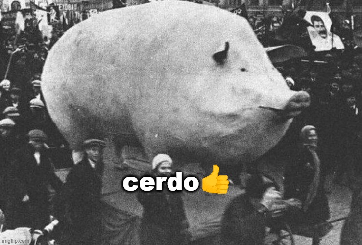 image tagged in cerdo | made w/ Imgflip meme maker