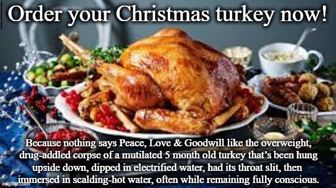 Christmas Turkey | VeganMemesForSharing/minkpen | image tagged in vegan,christmas,turkeys,roasted turkey,goose,bacon | made w/ Imgflip meme maker