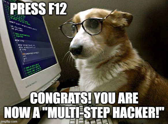 Hacking | PRESS F12; CONGRATS! YOU ARE NOW A "MULTI-STEP HACKER!" | image tagged in corgi hacker | made w/ Imgflip meme maker