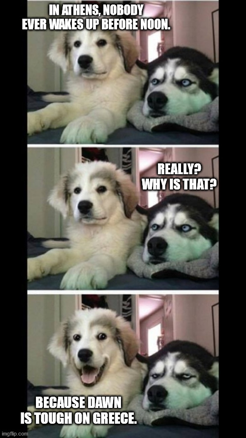 Bad joke dogs | IN ATHENS, NOBODY EVER WAKES UP BEFORE NOON. REALLY? WHY IS THAT? BECAUSE DAWN IS TOUGH ON GREECE. | image tagged in bad joke dogs | made w/ Imgflip meme maker
