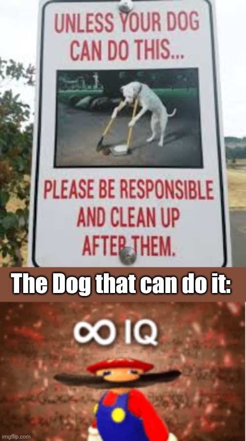 The Dog that can do it: | image tagged in infinite iq | made w/ Imgflip meme maker