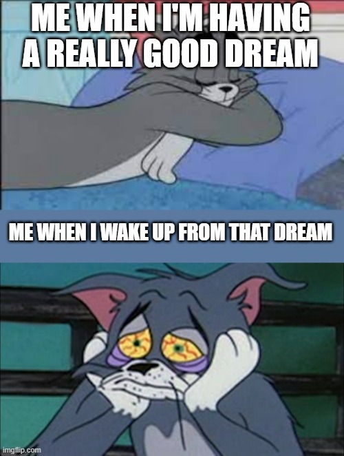 Dreams | ME WHEN I'M HAVING A REALLY GOOD DREAM; ME WHEN I WAKE UP FROM THAT DREAM | image tagged in dreams | made w/ Imgflip meme maker