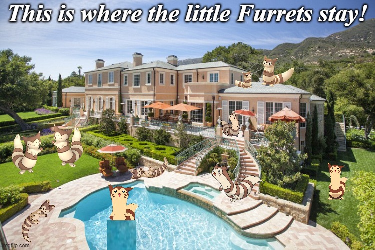 this is their house now | This is where the little Furrets stay! | image tagged in beach mansion | made w/ Imgflip meme maker