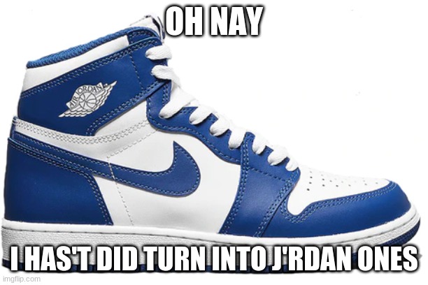 OH NAY; I HAS'T DID TURN INTO J'RDAN ONES | image tagged in random,gettherefrenceyourself | made w/ Imgflip meme maker