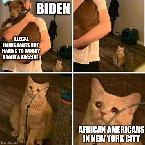 The Proof is in the Pudding Brain of Biden. | BIDEN; ILLEGAL IMMIGRANTS NOT HAVING TO WORRY ABOUT A VACCINE. AFRICAN AMERICANS IN NEW YORK CITY | image tagged in sad cat holding dog,covid vaccine,segregation,no soup for you | made w/ Imgflip meme maker