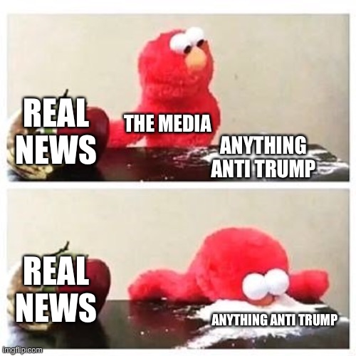 Media cocaine | REAL NEWS; THE MEDIA; ANYTHING ANTI TRUMP; REAL NEWS; ANYTHING ANTI TRUMP | image tagged in elmo cocaine | made w/ Imgflip meme maker