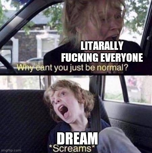 Why Can't You Just Be Normal | LITARALLY FUCKING EVERYONE DREAM | image tagged in why can't you just be normal | made w/ Imgflip meme maker