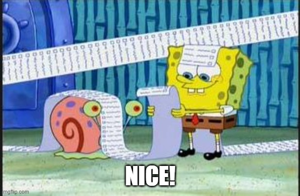 Really long list | NICE! | image tagged in really long list | made w/ Imgflip meme maker