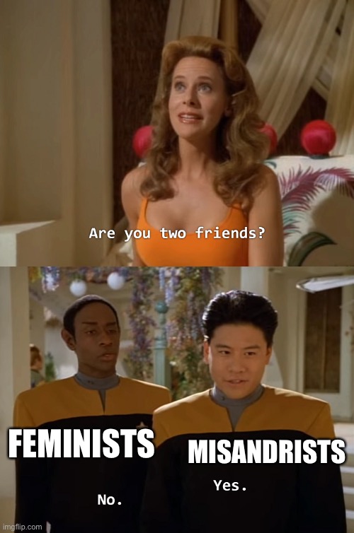 While some feminists are misandrists, most of us are against it | FEMINISTS; MISANDRISTS | image tagged in are you two friends | made w/ Imgflip meme maker