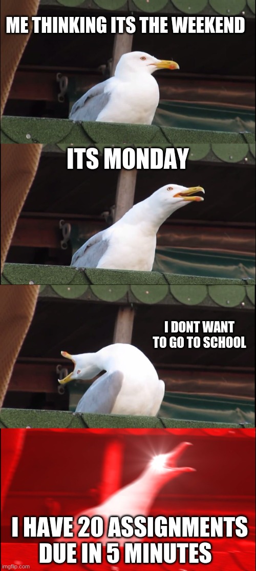 Inhaling Seagull Meme | ME THINKING ITS THE WEEKEND; ITS MONDAY; I DONT WANT TO GO TO SCHOOL; I HAVE 20 ASSIGNMENTS DUE IN 5 MINUTES | image tagged in memes,inhaling seagull | made w/ Imgflip meme maker