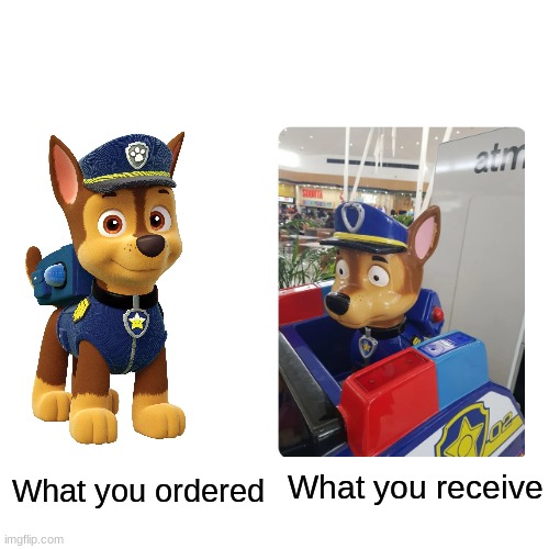 What you receive; What you ordered | image tagged in funny memes,memes,blank transparent square,why are we still here,just to suffer,stop reading the tags | made w/ Imgflip meme maker