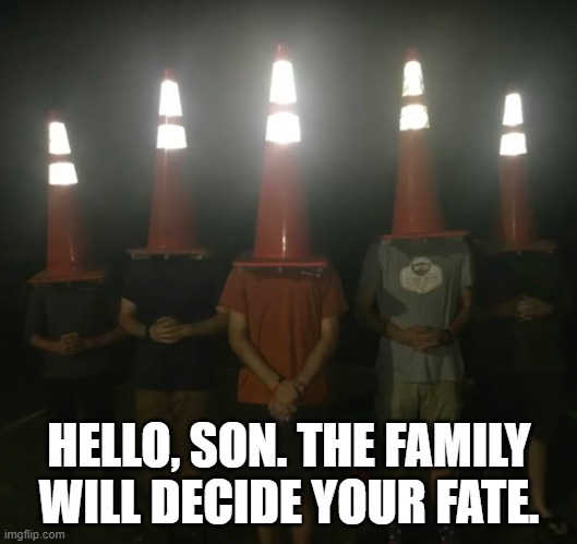 The council will decide your fate | HELLO, SON. THE FAMILY WILL DECIDE YOUR FATE. | image tagged in the council will decide your fate | made w/ Imgflip meme maker