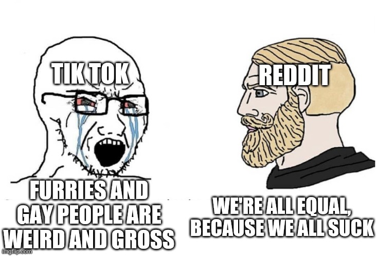 Yes |  TIK TOK; REDDIT; FURRIES AND GAY PEOPLE ARE WEIRD AND GROSS; WE'RE ALL EQUAL, BECAUSE WE ALL SUCK | image tagged in soyboy vs yes chad,gay,chad,furries,equal rights | made w/ Imgflip meme maker