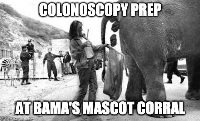 Elephant Poop Bad Day | COLONOSCOPY PREP; AT BAMA'S MASCOT CORRAL | image tagged in elephant poop bad day | made w/ Imgflip meme maker