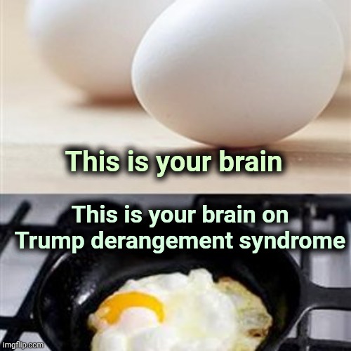 Brain, Brain on Drugs (egg) | This is your brain This is your brain on Trump derangement syndrome | image tagged in brain brain on drugs egg | made w/ Imgflip meme maker