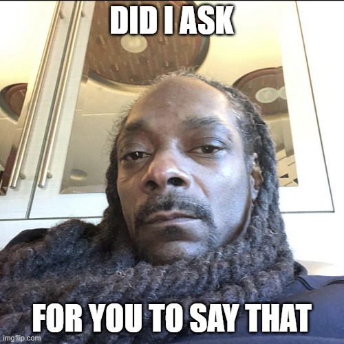 did I ask | DID I ASK FOR YOU TO SAY THAT | image tagged in did i ask | made w/ Imgflip meme maker