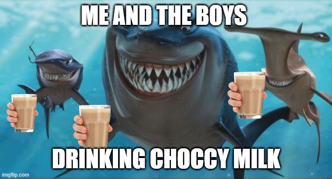 Finding Nemo Sharks | ME AND THE BOYS; DRINKING CHOCCY MILK | image tagged in finding nemo sharks | made w/ Imgflip meme maker