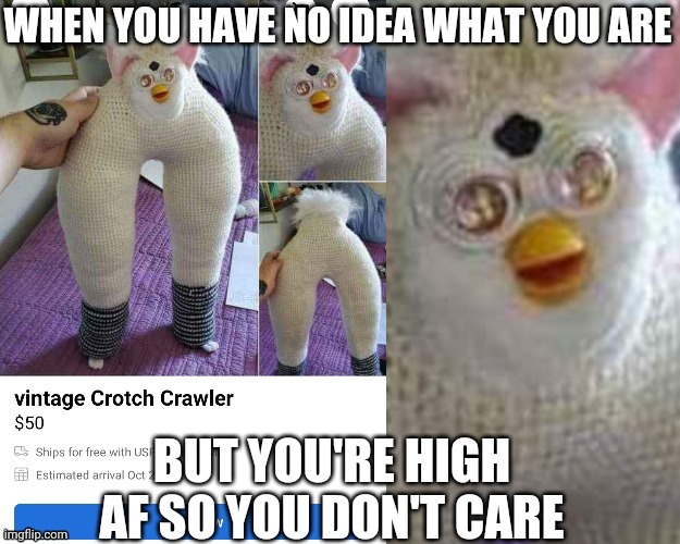 High AF | image tagged in too damn high,high,funny,wtf | made w/ Imgflip meme maker