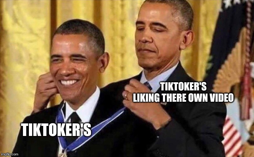 can't deny this | TIKTOKER'S  LIKING THERE OWN VIDEO; TIKTOKER'S | image tagged in obama medal | made w/ Imgflip meme maker