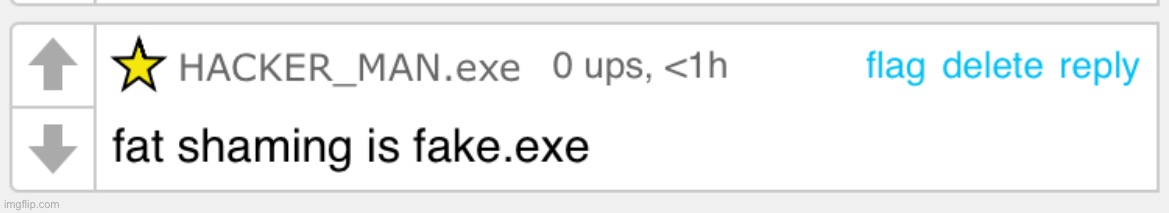 Fat shaming is fake.exe | image tagged in fat shaming is fake exe | made w/ Imgflip meme maker