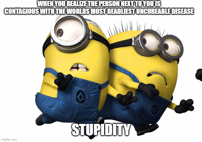 WHEN YOU REALIZE THE PERSON NEXT TO YOU IS CONTAGIOUS WITH THE WORLDS MOST DEADLIEST UNCUREABLE DISEASE; STUPIDITY | image tagged in minion memes | made w/ Imgflip meme maker