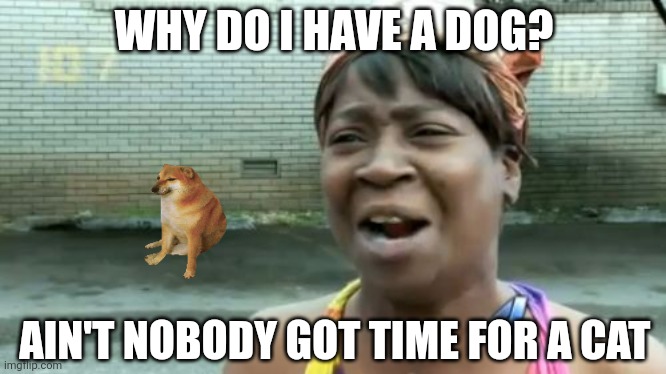 Keep on rhyming | WHY DO I HAVE A DOG? AIN'T NOBODY GOT TIME FOR A CAT | image tagged in memes,ain't nobody got time for that,dogs,cats,pets,funny memes | made w/ Imgflip meme maker