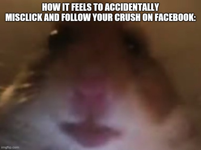 I LITERALLY JUST DID IT, HELP ME GOD PLEASE | HOW IT FEELS TO ACCIDENTALLY MISCLICK AND FOLLOW YOUR CRUSH ON FACEBOOK: | image tagged in when you accidentally but dial | made w/ Imgflip meme maker