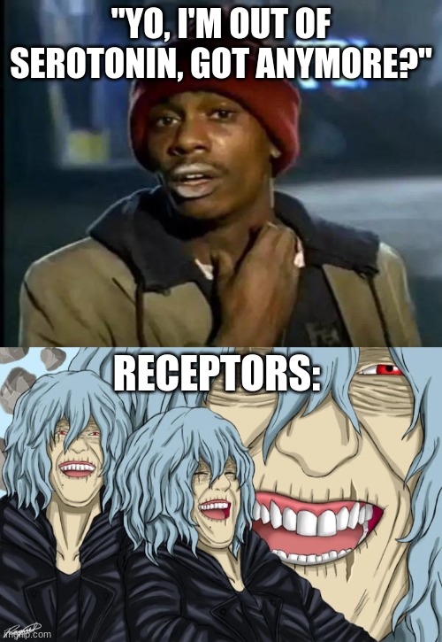 "YO, I'M OUT OF SEROTONIN, GOT ANYMORE?"; RECEPTORS: | image tagged in memes,y'all got any more of that,shiggy | made w/ Imgflip meme maker