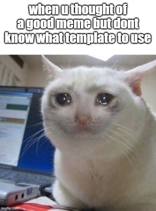 not funny | when u thought of a good meme but dont know what template to use | image tagged in crying cat | made w/ Imgflip meme maker